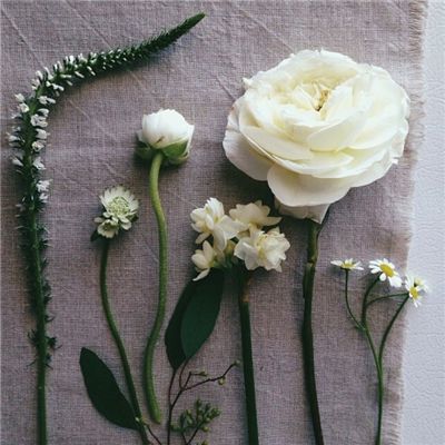 博鱼(boyu)·体育手机app下载